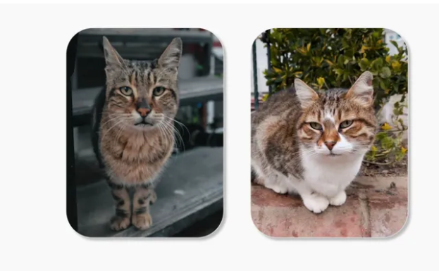 images.png images.png