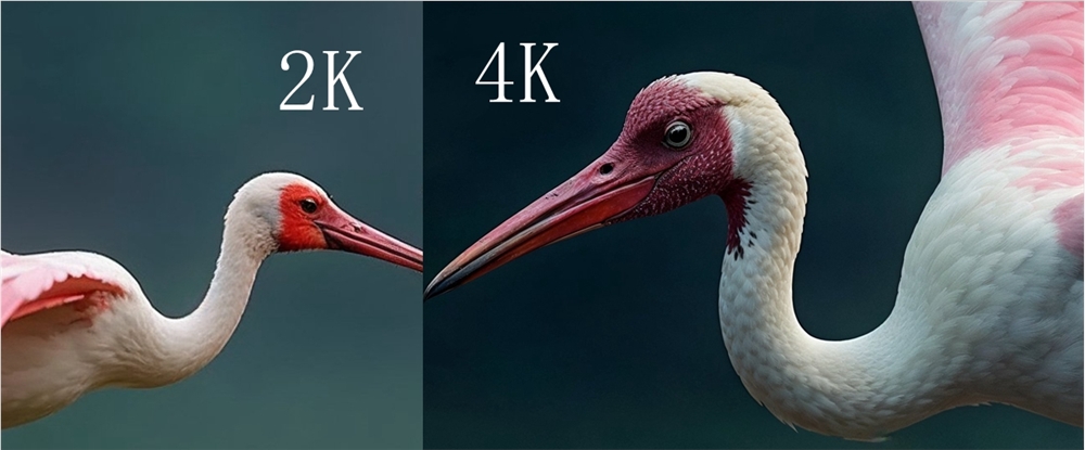 images.png