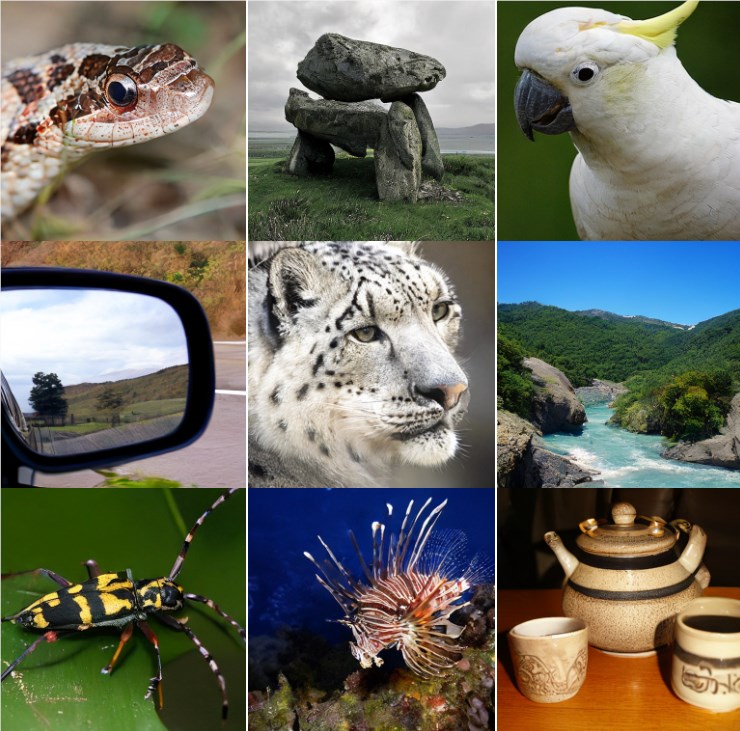 images.png images.png