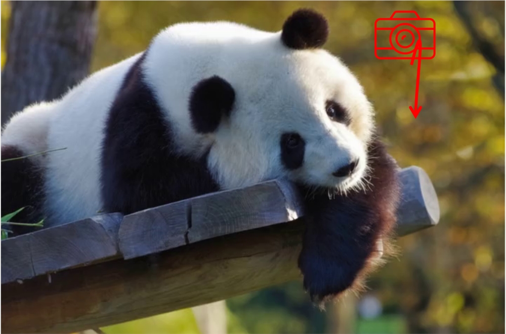images.png images.png