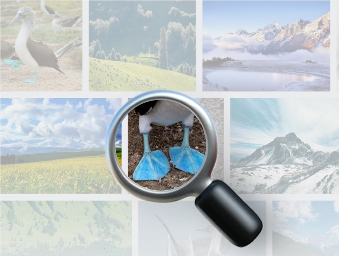 images.png images.png
